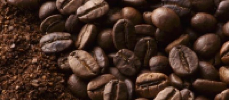 Cung cấp các loại cà phê hạt nguyên chất giá sỉ tại Tại Miền Trung